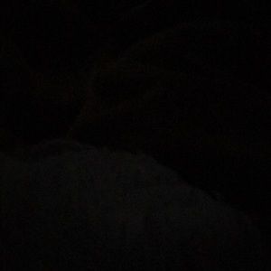 Meet your Posher, Trina